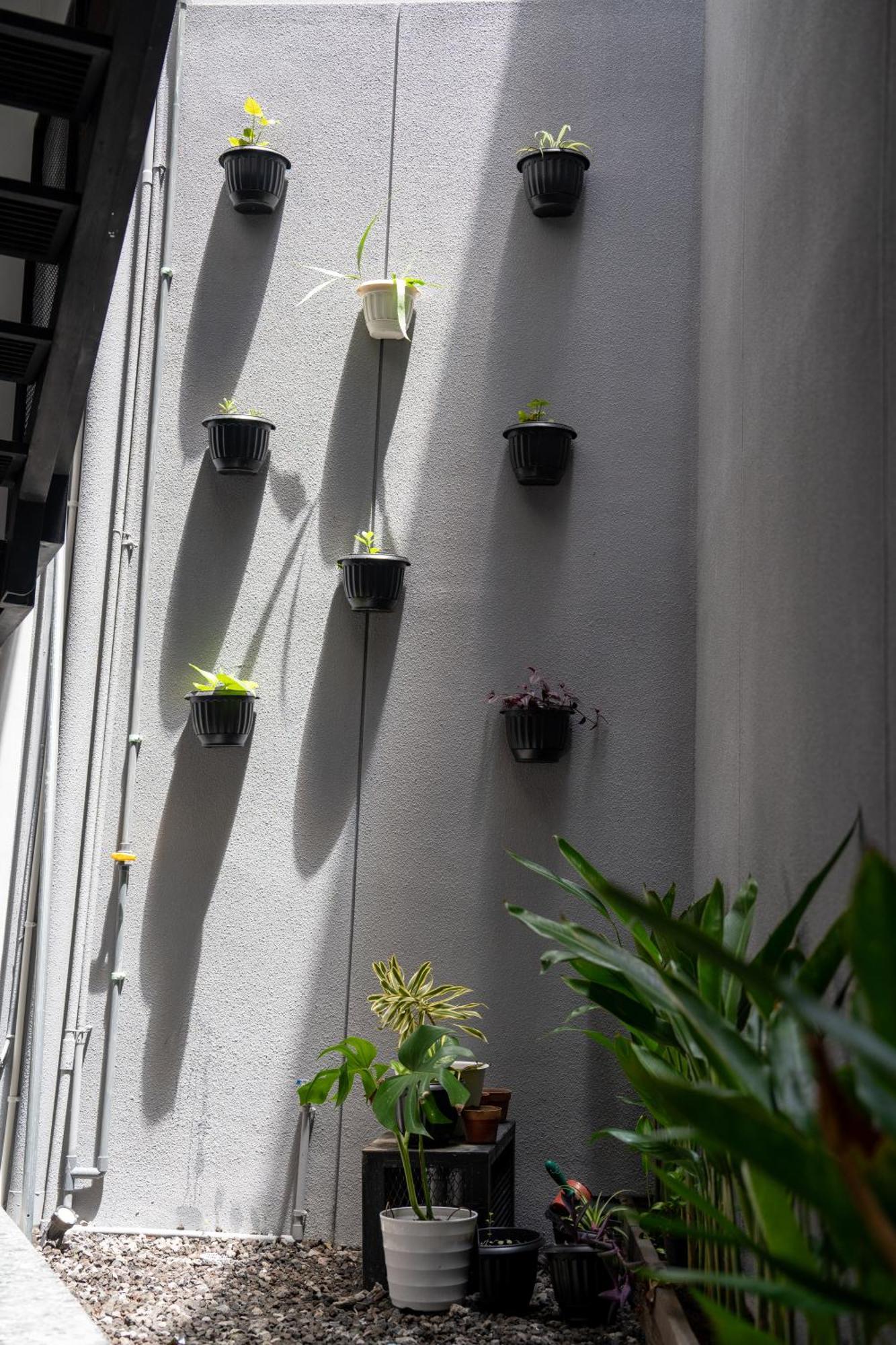 The Kamala Guest House Canggu Εξωτερικό φωτογραφία